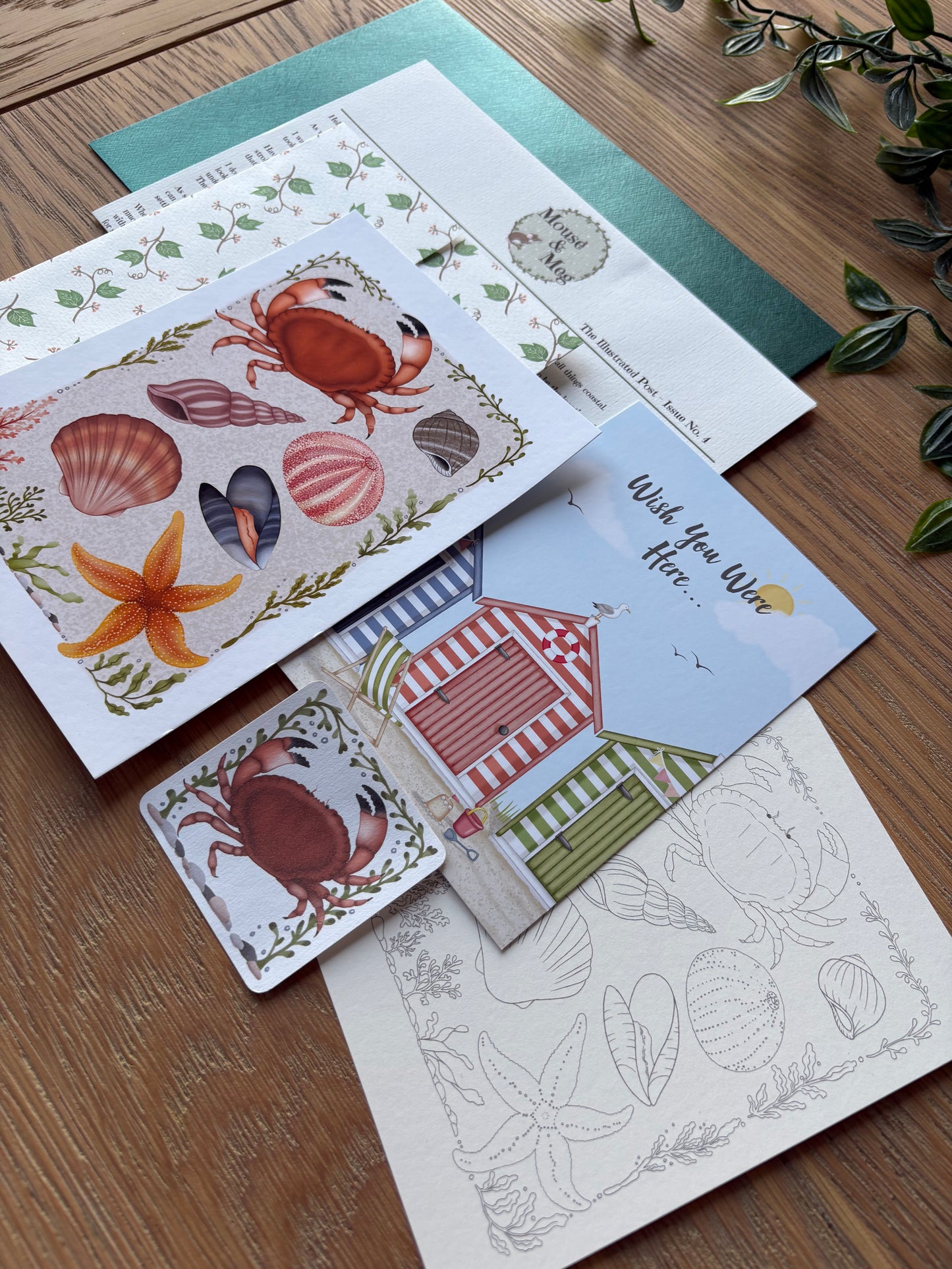 The Illustrated Post from Mouse & Meg - Archive Edition - July 2026